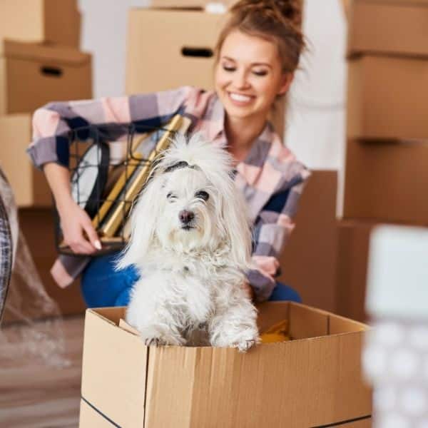 Girl packing home with cute dog while moving out of home